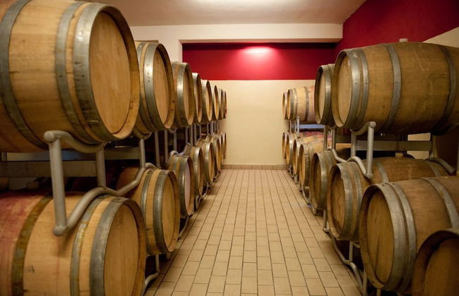 Agriturismo Sirignano Wine Resort - Photo 18