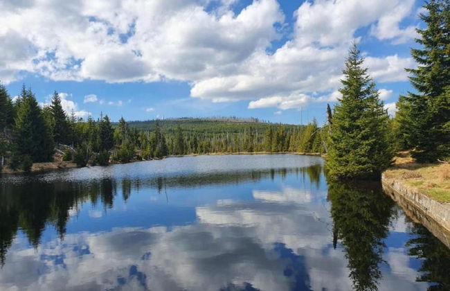 Balcony Views & Forest Calm - Photo 31