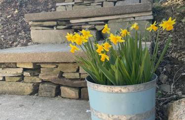 Cosy Rustic Annex in quiet Cornwall Village - Foto 22