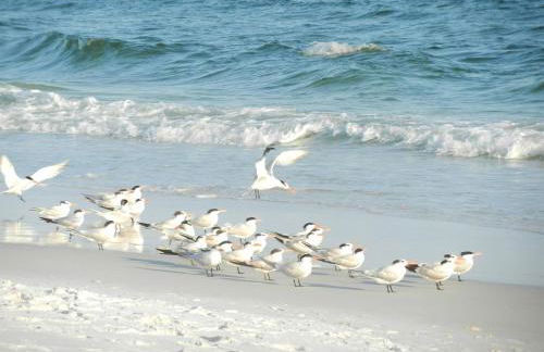 Holiday Surf and Racquet Unit 612 - Foto 27