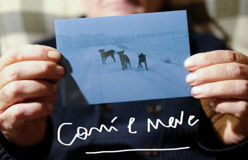 Masseria Sant'Agapito - Foto 70