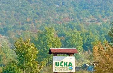 Rustic villa LENI - Foto 43