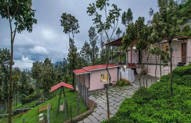 Blue Nile Suits By Indostay - Foto 16