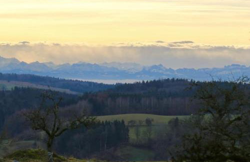 Hof Sinnenberg - Photo 12