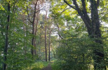 Unbox at Poplar Tree - Photo 46