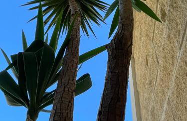 Ancora del Salento - Foto 27