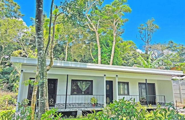 Monteverde Magic Mountain - Foto 39