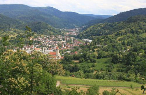 Hazienda Apartmenthotel - Für ein paar Tage oder monatelang - Foto 24