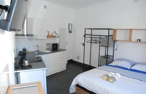 Studio Nancy quartier Thermal - Parc Sainte-Marie - Foto 4