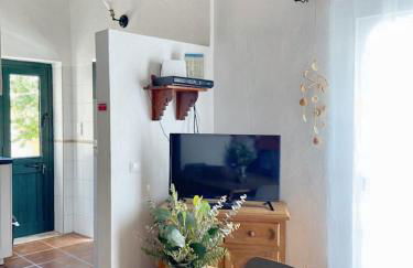 Charming House in Barão de São Miguel - Photo 7