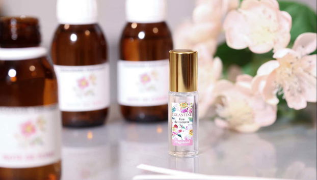 Tout est prêt pour l'atelier