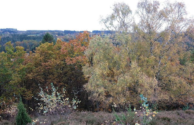 8 Person Holiday Home in Gjern-by Traum - Photo 18