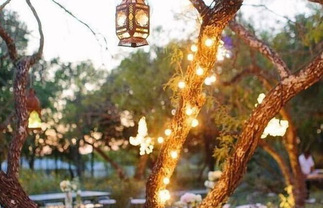 Bosque de Cuevas - Foto 59