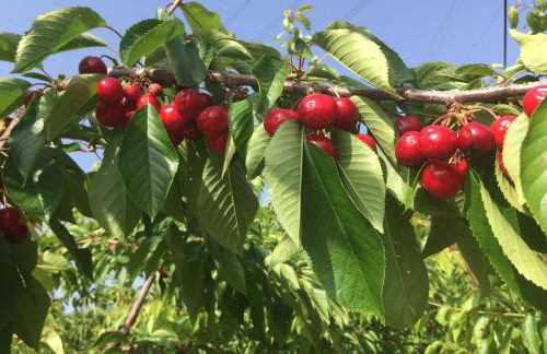 Quinta BEMBOA Turismo Espaço Rural - Foto 66