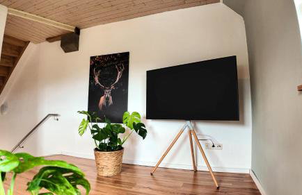 Auszeit & Natur - ländliche Fachwerkhaushälfte - Foto 11