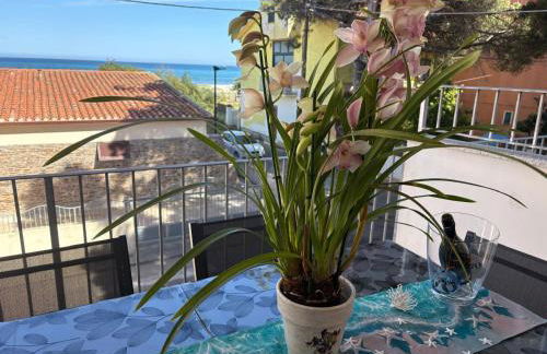 all ombra dei pini - Foto 35