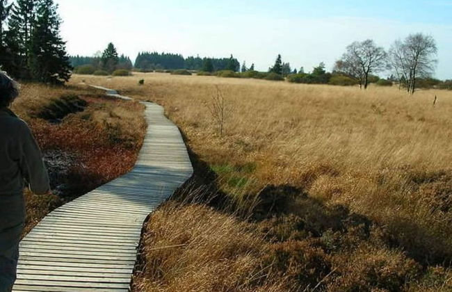 Chalet With Valley Views, - Foto 38