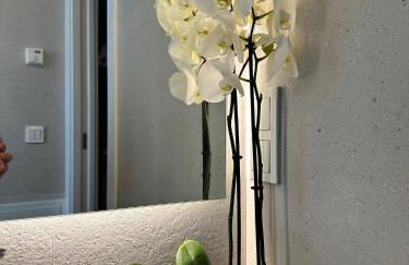 Apartamentos Casa Cabot - Rosario - Foto 21