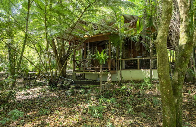 Cabañas del Lago - Foto 45