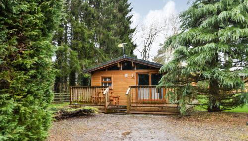 Pine Lodge - Photo 1