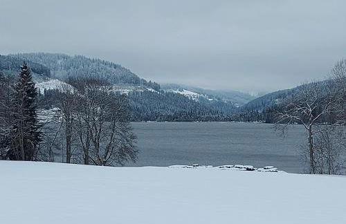 Haus Heidelberg - Foto 75