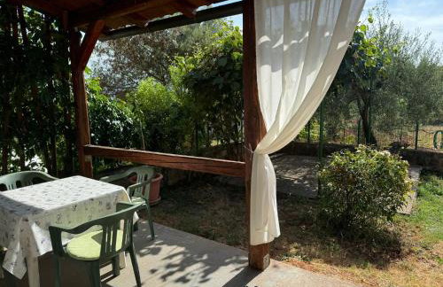 Apartaments Sanja Novigrad - Photo 14