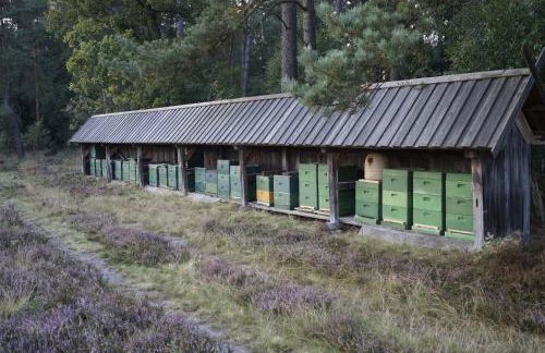 Ferienhaus Wahlers - Foto 46