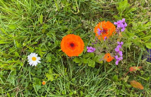 Spacious country house in Normandie - Foto 35