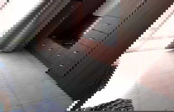 La casa de Xochitl - Foto 8