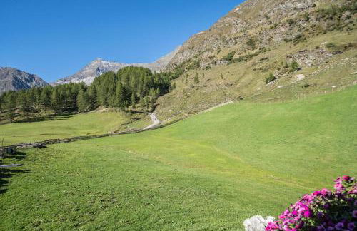 Fewo Sonnenaufgang - Zeppichl - Photo 15