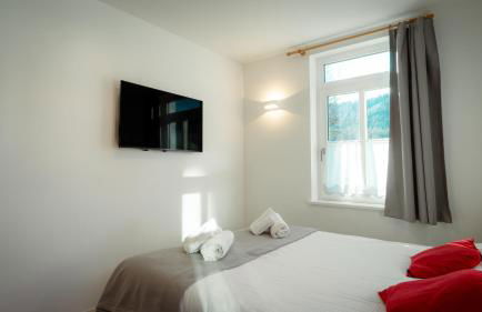 Appartamento Vale e Schena Cortina 4 posti letto - Foto 31