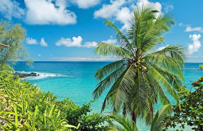 Kaanapali Alii 456 in Kaanapali - Photo 33