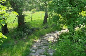 CASA RURAL LA FRESNEDA DE TENZUELA - Foto 32