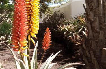 Casa Kira Camarote, Macher - Foto 8