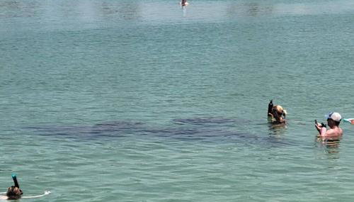 Sunny house 2mil beach - Foto 5