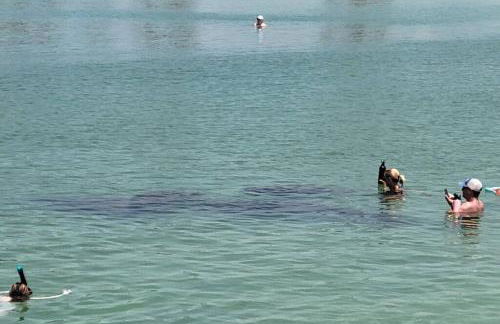 Sunny house 2mil beach - Foto 5