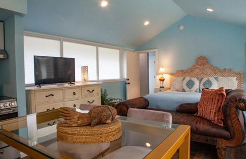 Crystal Serenity Quartz Soak The Namaste Studio On Lake Hamilton - Foto 36