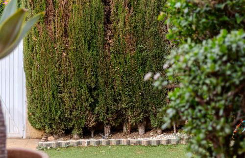 Gran Hogar Alacant - Piscina y garaje - Photo 48
