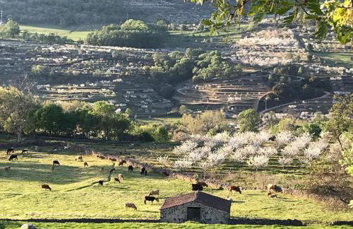 La Seguirilla del Jerte - Foto 37