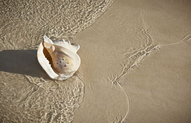 Apartamentos Atlantic Garden Beach Mate - Foto 26