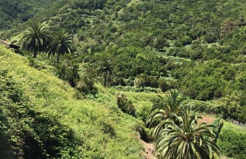 Casa Rural El Rincón de Antonia - Foto 64