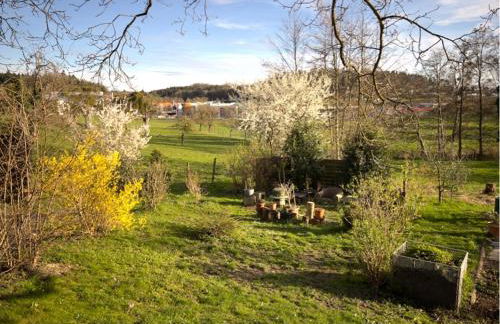 Fewo Spectrum - Foto 34