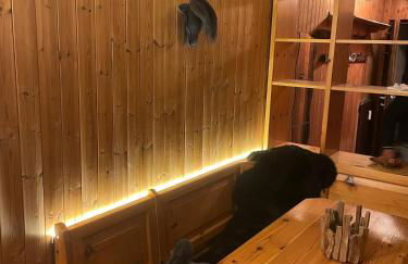 CIASA LAURINA - Apartment near the slopes with Dolomite views - Foto 20