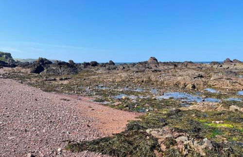 Eyemouth getaway - Foto 36