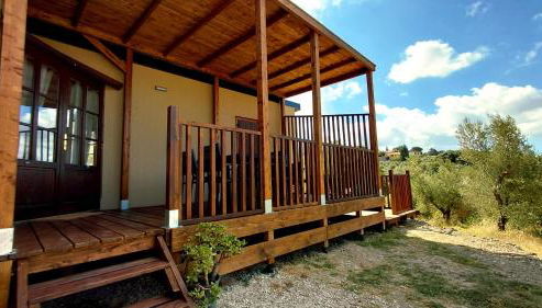 Podere Cortesi Agriturismo Molinaccio - Foto 2