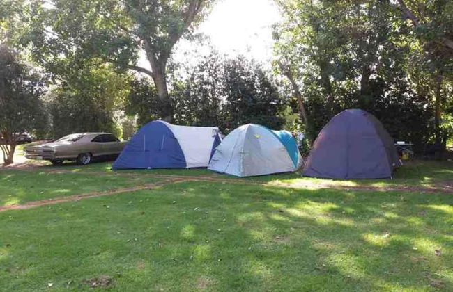 Mahia Beach Motel and Holiday Park - Photo 55