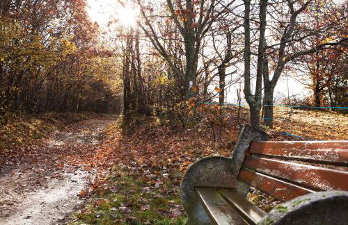 Gîte du Pré au Miel en plein coeur de l'Alsace - Foto 34