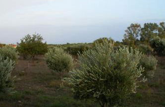 Ariadnis Spacious 3Bd home, 10 mins to Airport, Port, Beach - Foto 21