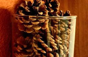 Maison atypique médiévale - Foto 19