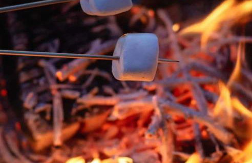 Cozy Hot Tent With Log Burner & Hot Tub Left Tent - Foto 35